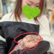 ヒメ日記 2026/01/30 20:41 投稿 柊菜乃【ヒナノ】 輝女