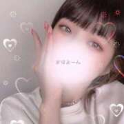 ヒメ日記 2025/04/21 09:55 投稿 めい S級しろうと娘