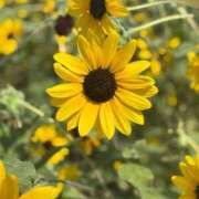 ヒメ日記 2025/08/07 19:36 投稿 せな 恋のうた