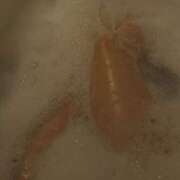 ヒメ日記 2025/09/30 20:12 投稿 せな 恋のうた