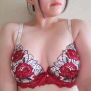 ヒメ日記 2025/11/18 16:39 投稿 せな 恋のうた