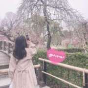 ヒメ日記 2025/03/20 11:32 投稿 ひとみ 京都ホテヘル倶楽部