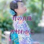 ヒメ日記 2025/11/03 06:18 投稿 雪村わかこ 月の真珠-新宿-