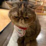 ヒメ日記 2025/06/07 17:21 投稿 綺咲のあ ウルトラプラチナム