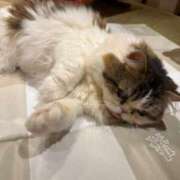 ヒメ日記 2025/06/21 11:21 投稿 綺咲のあ ウルトラプラチナム