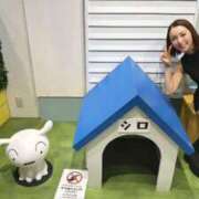 ヒメ日記 2025/06/21 22:21 投稿 綺咲のあ ウルトラプラチナム