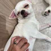 ヒメ日記 2025/07/25 18:18 投稿 綺咲のあ ウルトラプラチナム