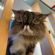 ヒメ日記 2025/07/28 12:51 投稿 綺咲のあ ウルトラプラチナム