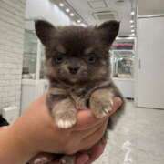 ヒメ日記 2025/08/01 17:41 投稿 綺咲のあ ウルトラプラチナム