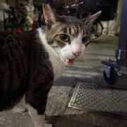 ヒメ日記 2025/08/06 09:02 投稿 綺咲のあ ウルトラプラチナム