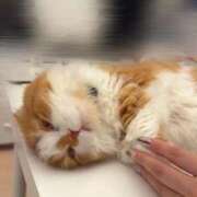 ヒメ日記 2025/10/08 13:11 投稿 綺咲のあ ウルトラプラチナム