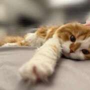 ヒメ日記 2025/11/05 17:21 投稿 綺咲のあ ウルトラプラチナム