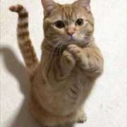 ヒメ日記 2025/11/10 18:51 投稿 綺咲のあ ウルトラプラチナム