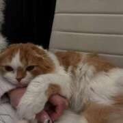 ヒメ日記 2025/11/14 14:58 投稿 綺咲のあ ウルトラプラチナム