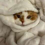 ヒメ日記 2025/11/23 14:22 投稿 綺咲のあ ウルトラプラチナム