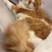 ヒメ日記 2025/12/09 22:01 投稿 綺咲のあ ウルトラプラチナム