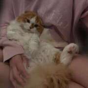 ヒメ日記 2026/01/15 16:21 投稿 綺咲のあ ウルトラプラチナム