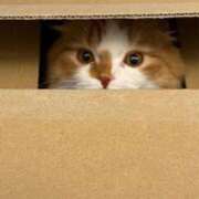 ヒメ日記 2026/01/19 23:21 投稿 綺咲のあ ウルトラプラチナム