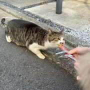 ヒメ日記 2026/02/15 21:11 投稿 綺咲のあ ウルトラプラチナム