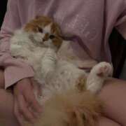 ヒメ日記 2026/02/22 15:01 投稿 綺咲のあ ウルトラプラチナム