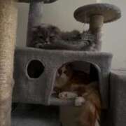 ヒメ日記 2026/03/05 19:59 投稿 綺咲のあ ウルトラプラチナム