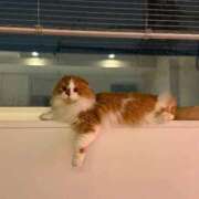 ヒメ日記 2026/04/02 14:01 投稿 綺咲のあ ウルトラプラチナム