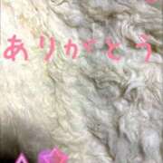 ヒメ日記 2026/02/28 23:43 投稿 あさの 熟女の風俗最終章 八王子店