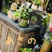 ヒメ日記 2025/01/23 16:53 投稿 あさの 熟女の風俗最終章 所沢店