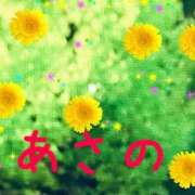 ヒメ日記 2026/05/18 09:03 投稿 あさの 熟女の風俗最終章 立川店