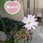 ヒメ日記 2025/03/09 10:28 投稿 まみ子 越谷熟女デリヘル マダムエプロン