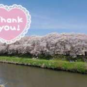 ヒメ日記 2025/03/31 12:43 投稿 まみ子 越谷熟女デリヘル マダムエプロン