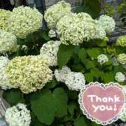 ヒメ日記 2025/06/12 13:53 投稿 まみ子 越谷熟女デリヘル マダムエプロン