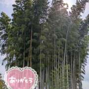 ヒメ日記 2025/09/04 09:30 投稿 まみ子 越谷熟女デリヘル マダムエプロン