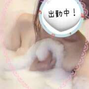 ヒメ日記 2026/03/25 15:06 投稿 まみ子 越谷熟女デリヘル マダムエプロン