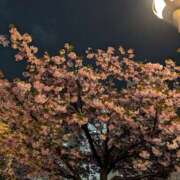 ヒメ日記 2026/04/15 09:27 投稿 まみ子 越谷熟女デリヘル マダムエプロン