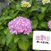 ヒメ日記 2026/06/02 13:56 投稿 まみ子 越谷熟女デリヘル マダムエプロン