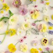 あきほ こんばんは☀️ 脱がされたい人妻 宇都宮店