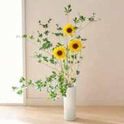 ヒメ日記 2025/08/27 09:12 投稿 あきほ 脱がされたい人妻 宇都宮店