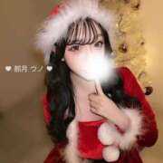 ヒメ日記 2024/12/15 13:28 投稿 那月うの ブルーバード