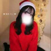 ヒメ日記 2024/12/16 21:18 投稿 那月うの ブルーバード