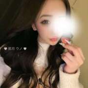 ヒメ日記 2024/12/18 19:38 投稿 那月うの ブルーバード