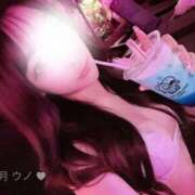 ヒメ日記 2025/01/19 21:22 投稿 那月うの ブルーバード