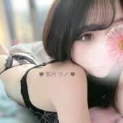 ヒメ日記 2025/04/12 18:14 投稿 那月うの ブルーバード