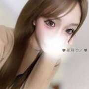 ヒメ日記 2025/04/16 20:44 投稿 那月うの ブルーバード