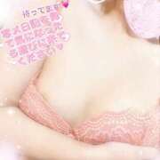 ヒメ日記 2025/02/10 18:50 投稿 小坂　みはる 妻の本音