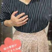 ヒメ日記 2025/03/19 22:03 投稿 小坂　みはる 妻の本音