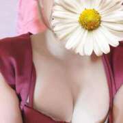 ヒメ日記 2025/01/04 17:37 投稿 ノイ ファーストレディー