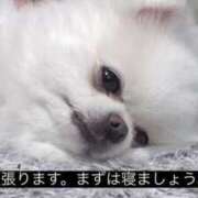 ヒメ日記 2025/02/03 10:01 投稿 りょう ドッチパイモミ 越谷店