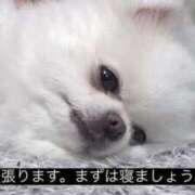 ヒメ日記 2025/04/13 05:50 投稿 りょう ドッチパイモミ 越谷店