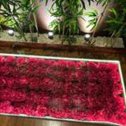 ヒメ日記 2025/09/15 12:27 投稿 吉永鈴花 五十路マダム 博多店